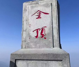 兔飛猛進兆豐年，用團建喚醒團隊活力