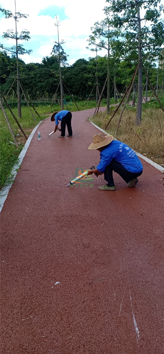 增城仙村仙基農業荔枝小鎮透水地坪項目